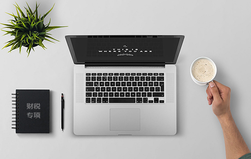 財(cái)稅專項(xiàng)審計(jì)
