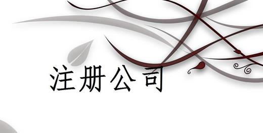 成都代理記賬能提供什么服務(wù)？