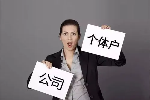 成都個(gè)體營業(yè)執(zhí)照代辦機(jī)構(gòu)